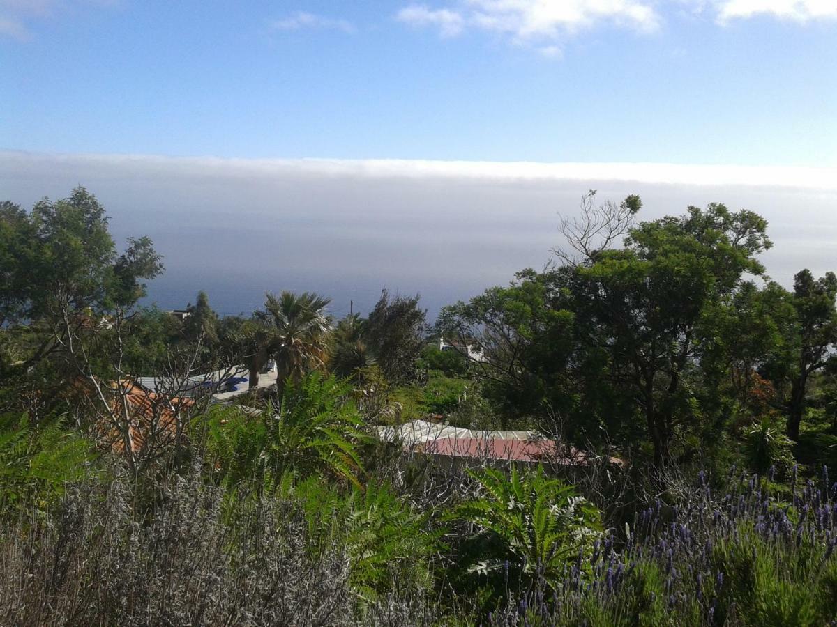 Finca Pura Vida Blockhaus Mazo Εξωτερικό φωτογραφία